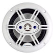 Blaupunkt GTM SERIES Marine Speakers (6.5